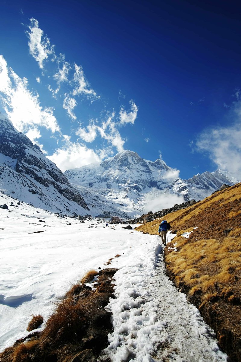 Trekker navigating snowy trail to Annapurna Base Camp with Annapurna South massif and blue sky during winter trekking season