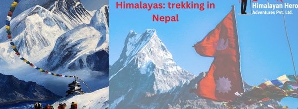 Into the Himalayas: Trekking in Nepal