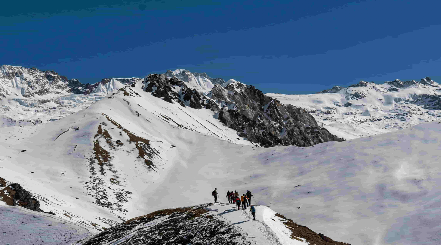 langtang valley trek passing through dense himalayan forest
