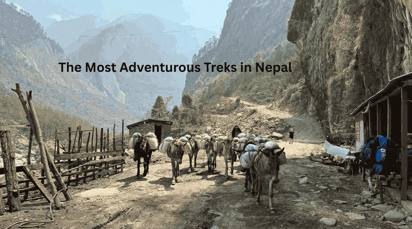 The Most Adventurous Treks in Nepal