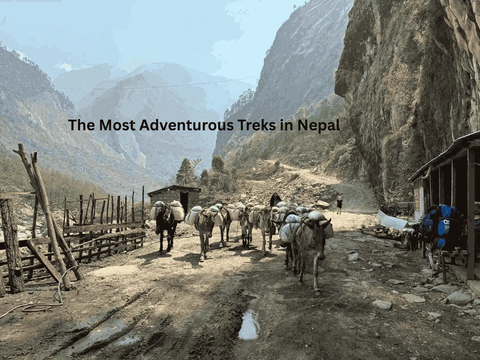 The Most Adventurous Treks in Nepal
