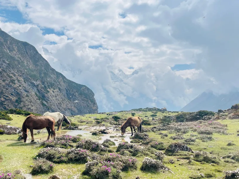 best-time-for-manaslu-circuit-trek-during-the-spring-season
