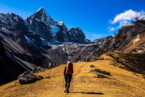 international trekkers enjoying nepals mountain beauty