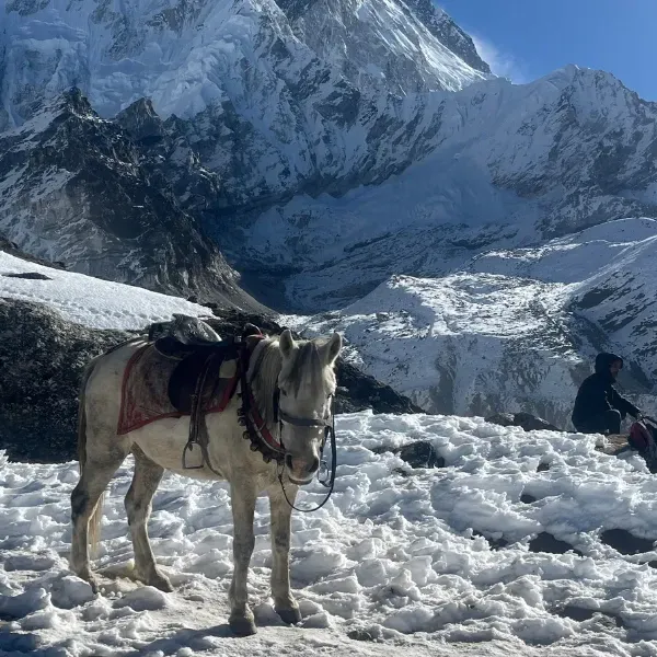 everest-base-camp-view-mount-everest