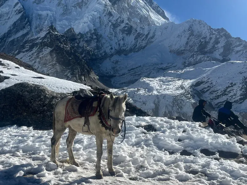 everest-base-camp-view-mount-everest
