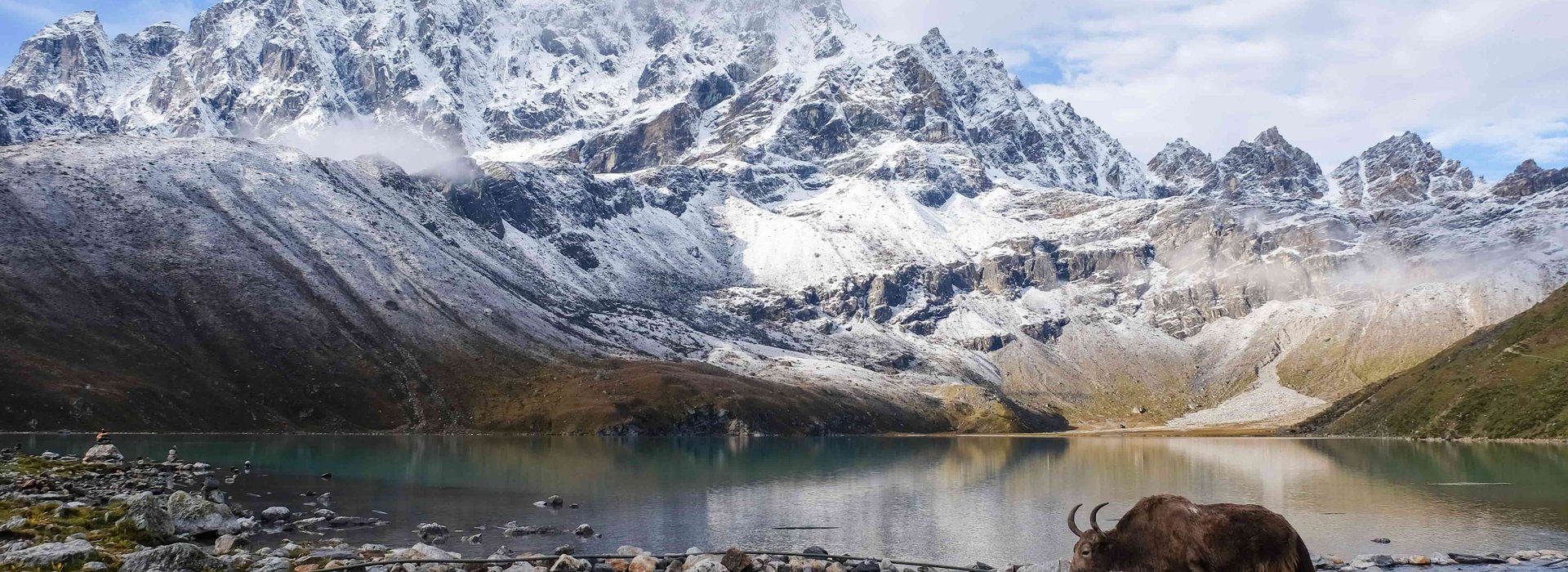 Yak crossing Gokyo Lake with snow-capped Himalayas in the background, Khumjung Nepal trekking destination