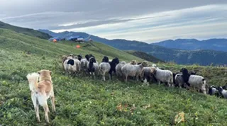 kori-trek-nepal