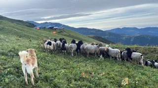 kori-trek-nepal