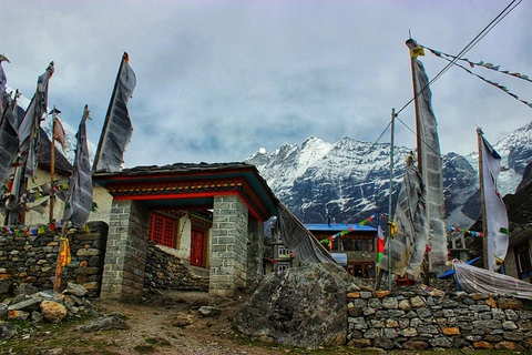 Kyanjin Ri viewpoint above Langtang Valley Nepal