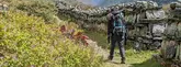 langtang valley trek