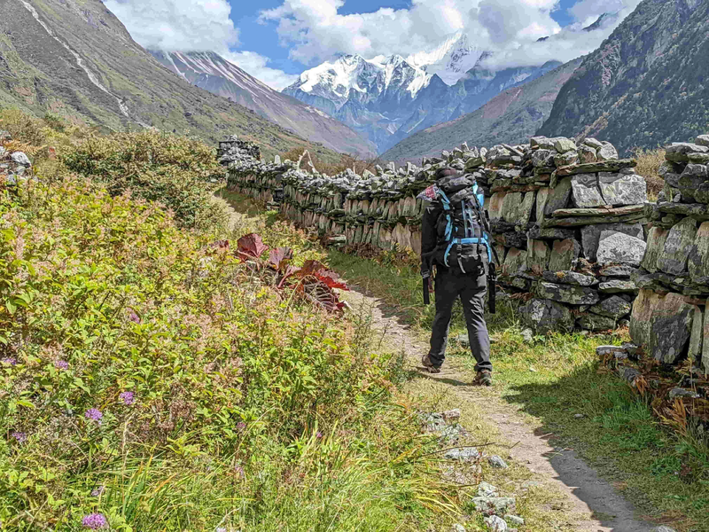 Hiker walking along a traditional stone-walled trail with Himalayan mountains in the background on the Langtang Valley trek