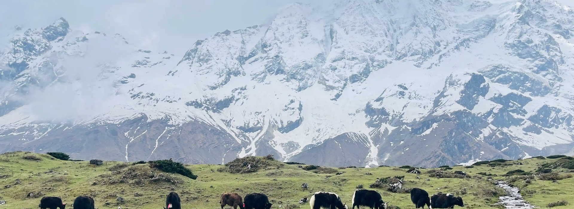 manaslu-circuit-trek-for-seniors