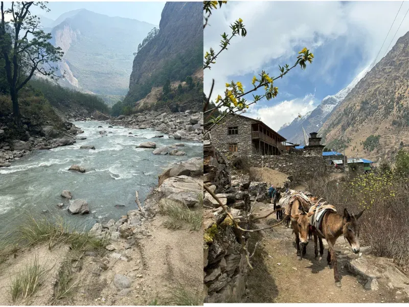manaslu-valley-trek-gandaki-river