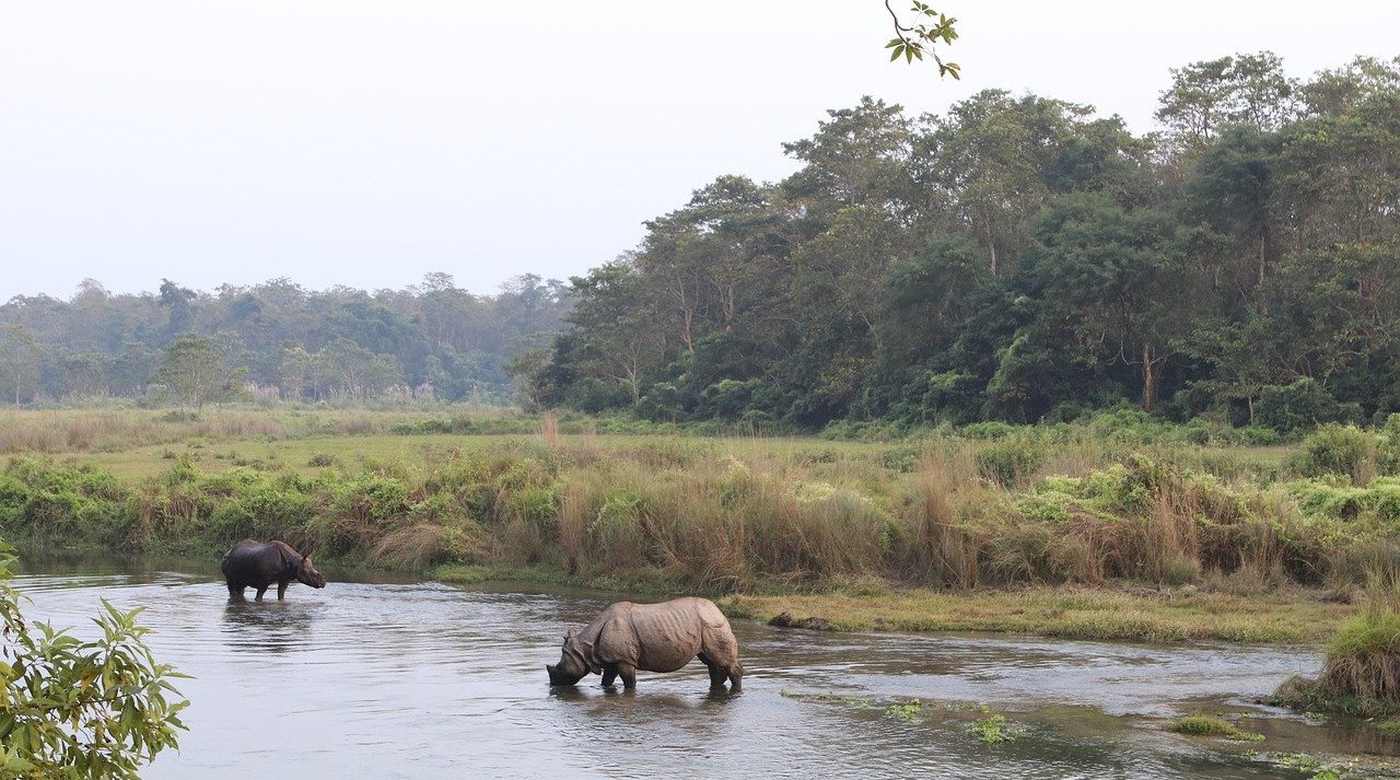 What you shouldn't do WHEN IN CHITWAN?
