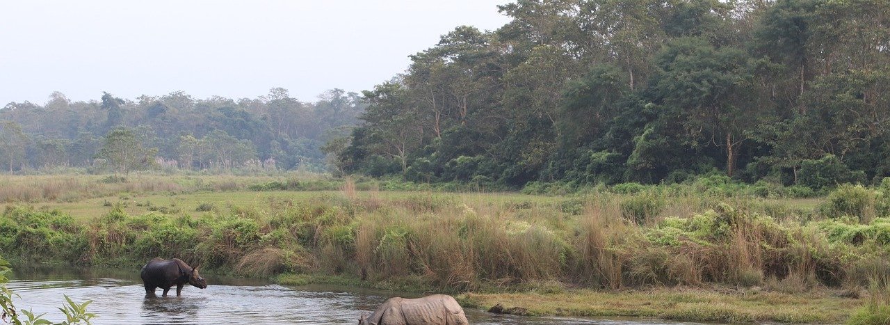 What you shouldn't do WHEN IN CHITWAN?