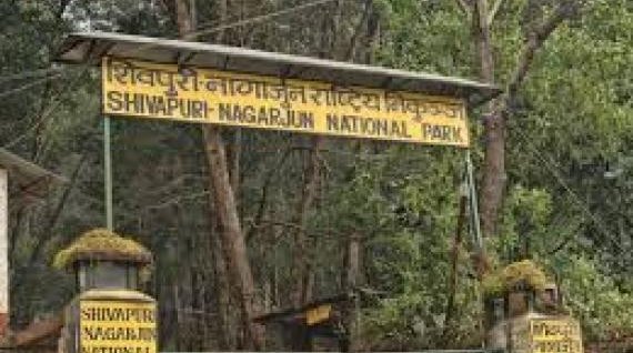 Shivapuri National Park Hiking