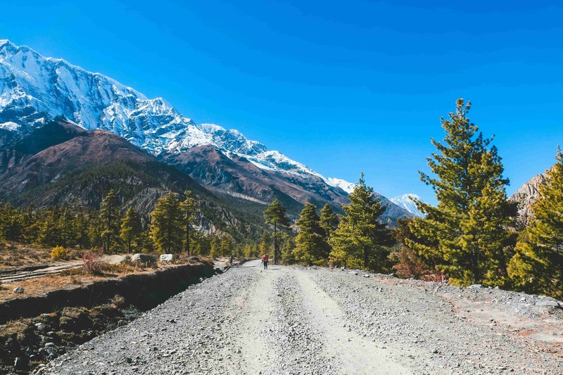 Scenic trekking trail leading to North Annapurna Base Camp with mountain views