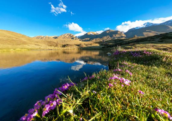 annapurna-circuit-trek