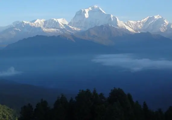 Khopra Danda Trek